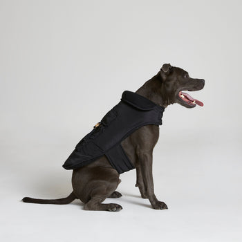 River Island Dog Coat With Backpack