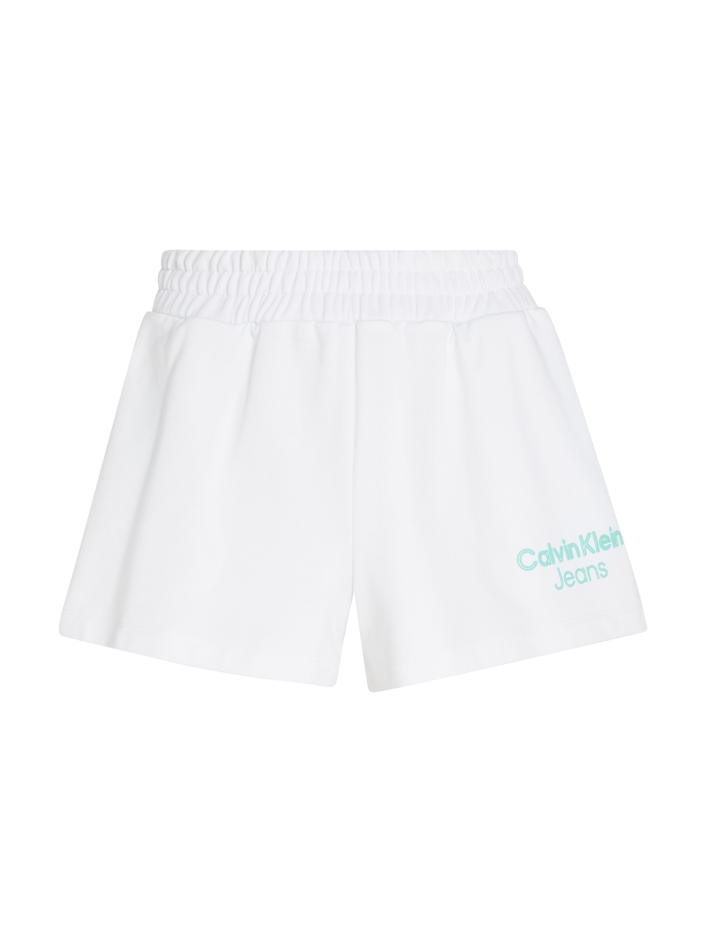 Calvin Klein Jeans Institutional Shorts
